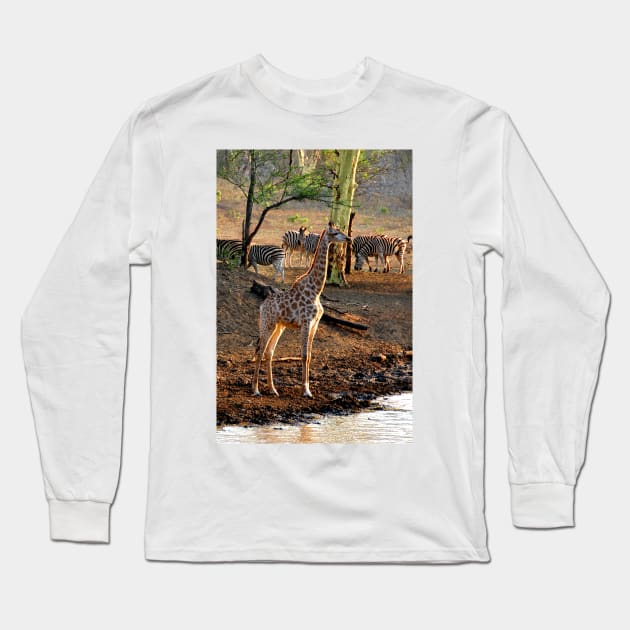 Giraffe Zulu Nyala Game Reserve South Africa Long Sleeve T-Shirt by AndyEvansPhotos